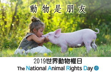 2019世界動物權日參與計畫