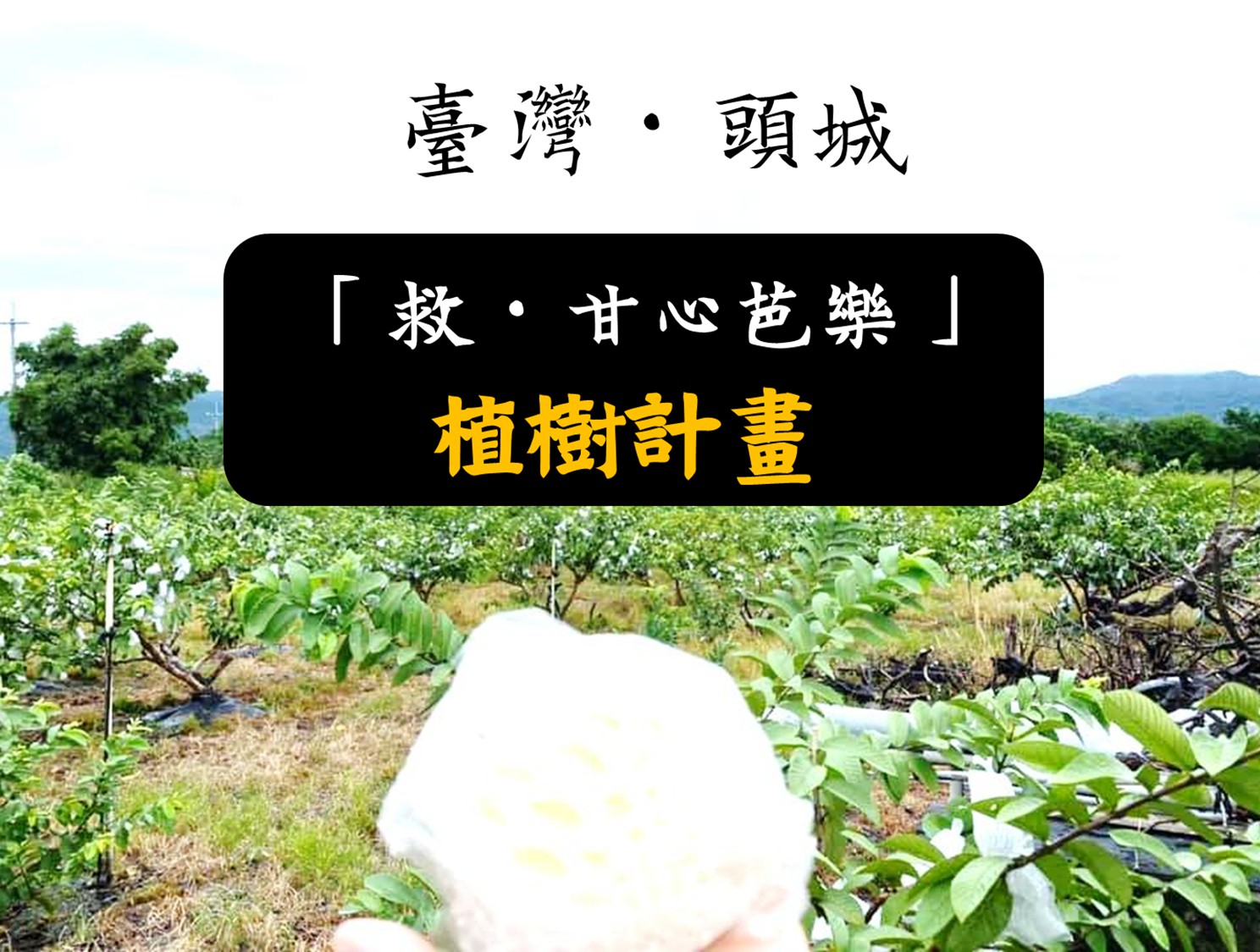 臺灣．頭城 「救．甘心芭樂」植樹計畫