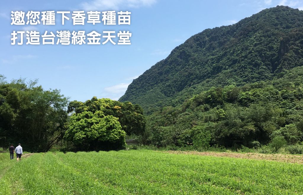 邀您種下香草種苗  打造台灣綠金天堂