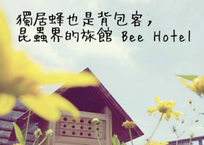 獨居蜂也是背包客，昆蟲界的旅館Bee Hotel